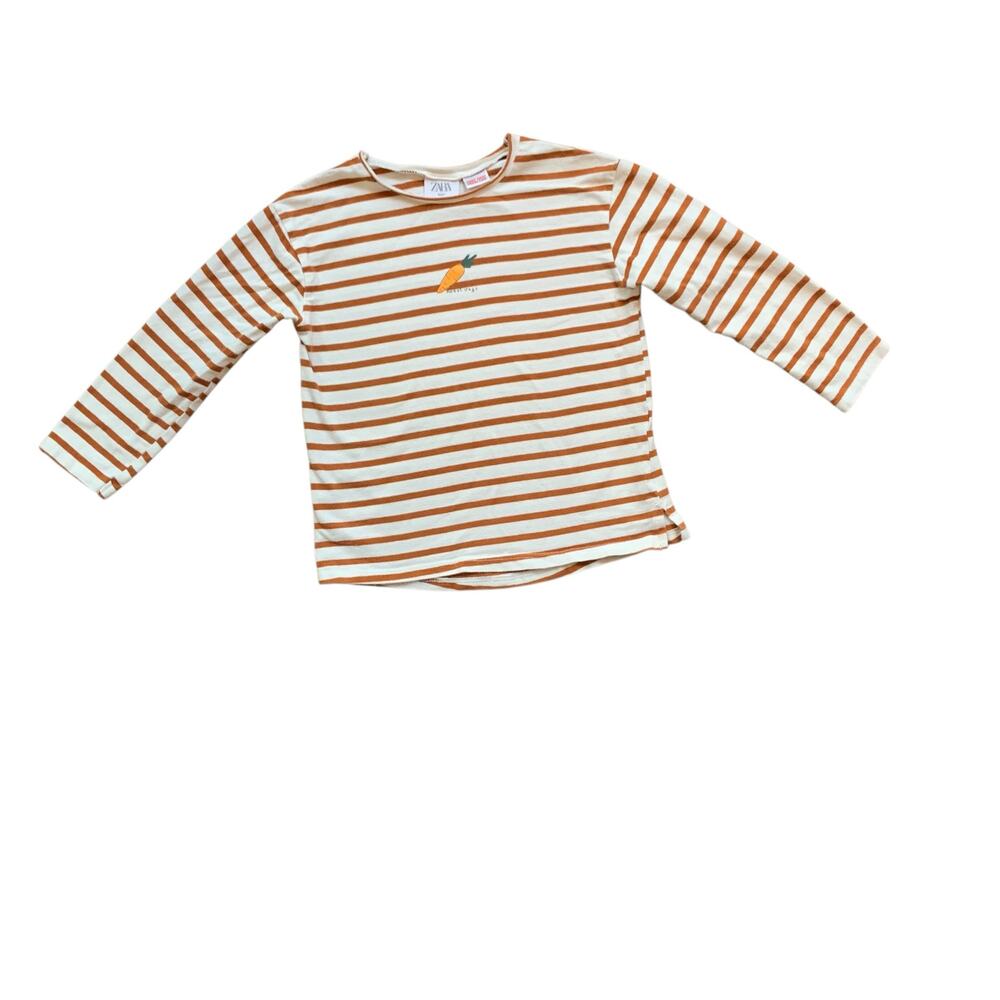 Zara Veggie Striped Shirt